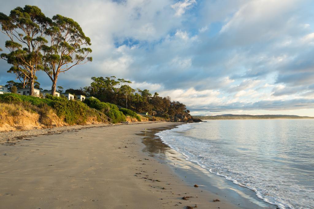 Swansea Beach Chalets Екстериор снимка