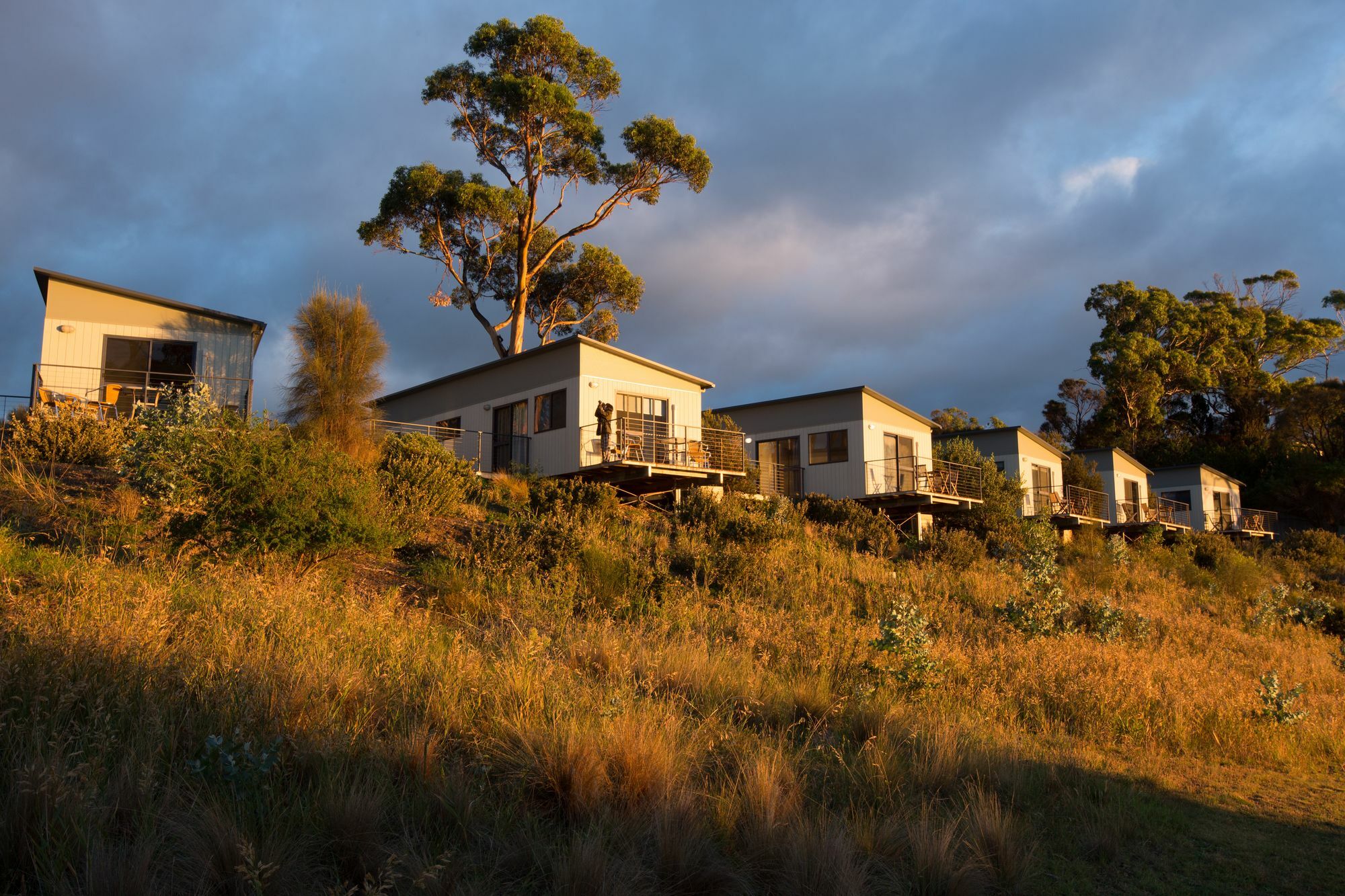 Swansea Beach Chalets Екстериор снимка